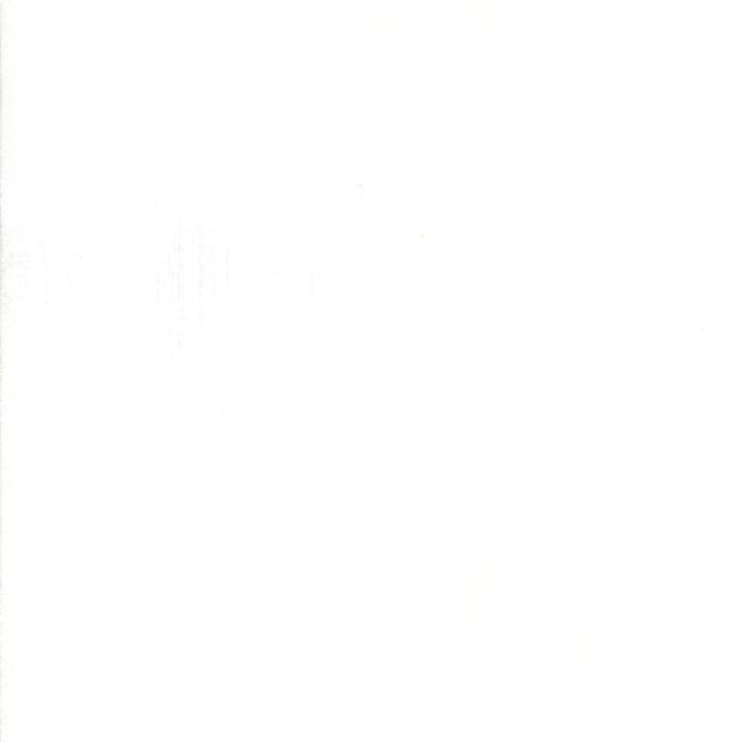30150 101 White Paper