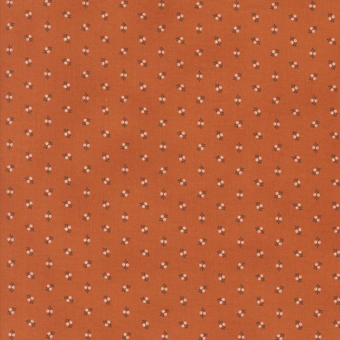 49295 20