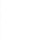 30150 101 White Paper